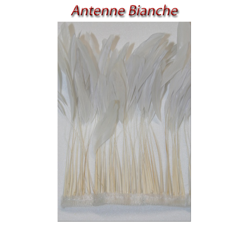 antenne_bianche