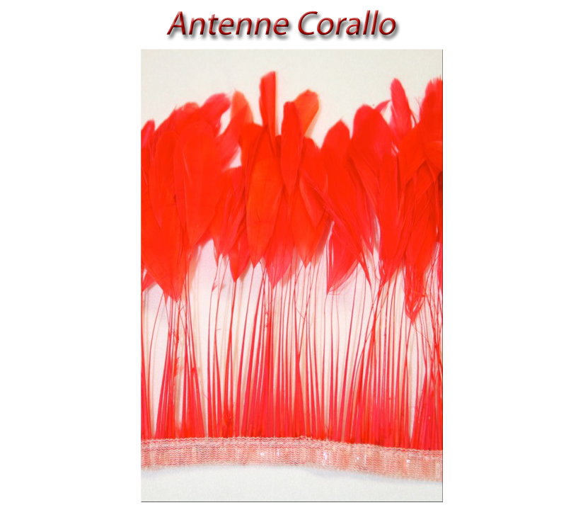 antenne_corallo