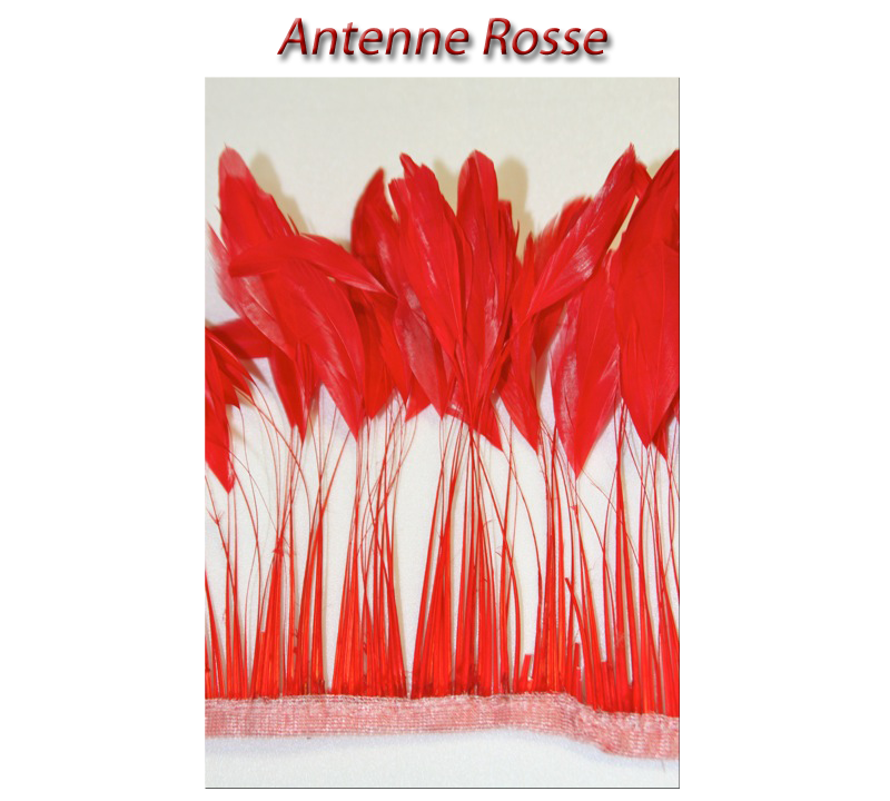 antenne_rosse