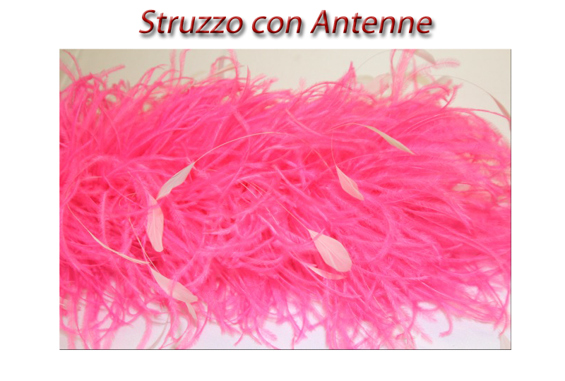 struzzo_antenne